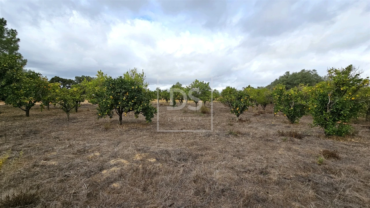 Moradia T5 para Venda em Aveiras de Cima Foto 438