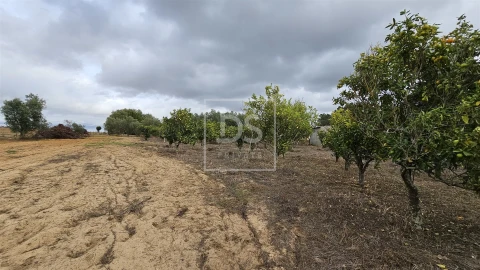 Moradia T5 para Venda em Aveiras de Cima