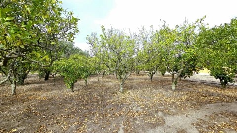 Moradia T5 para Venda em Aveiras de Cima