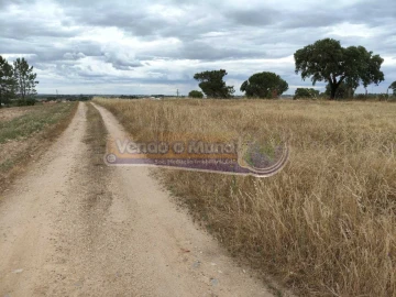 Terreno para Venda em Barrosa