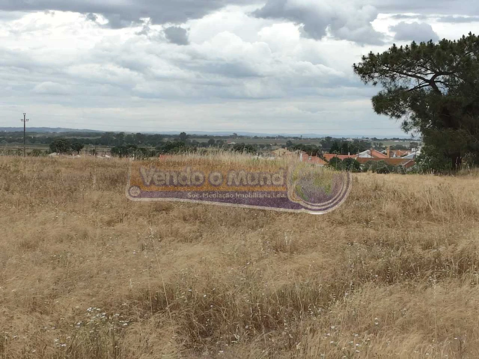 Terreno para Venda em Barrosa Foto 8