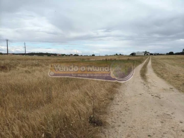 Terreno para Venda em Barrosa