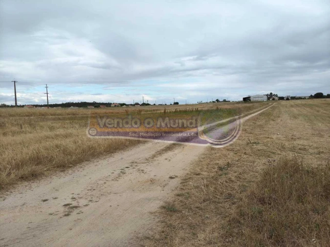 Terreno para Venda em Barrosa Foto 5