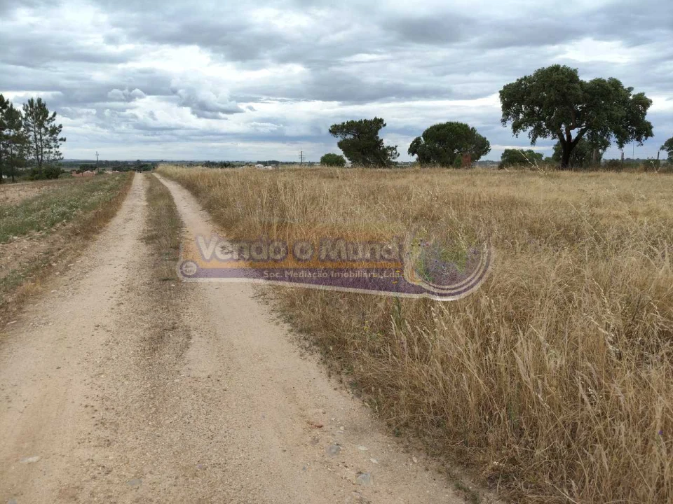 Terreno para Venda em Barrosa Foto 6