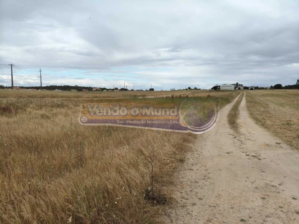 Terreno para Venda em Barrosa Foto 7