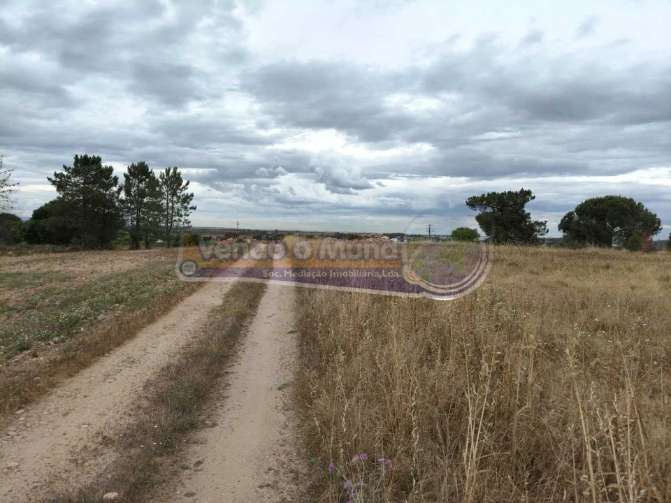 Terreno para Venda em Barrosa Foto 8