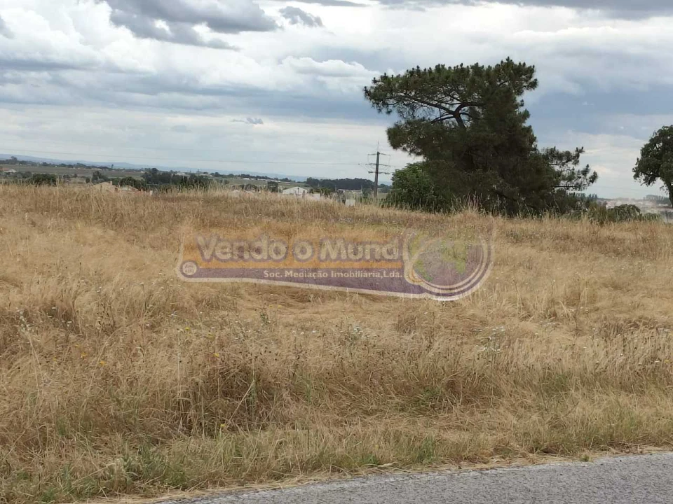 Terreno para Venda em Barrosa Foto 9