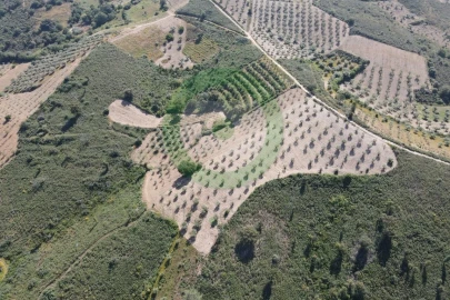 Terreno para Venda em Vale de Salgueiro
