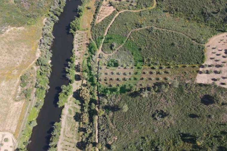 Terreno para Venda em Vale de Salgueiro Foto 3