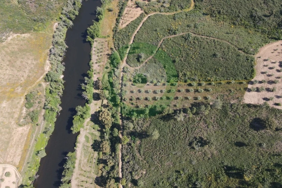 Terreno para Venda em Vale de Salgueiro Foto 3