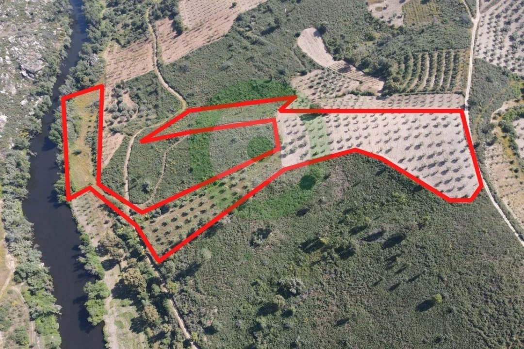 Terreno para Venda em Vale de Salgueiro Foto 1