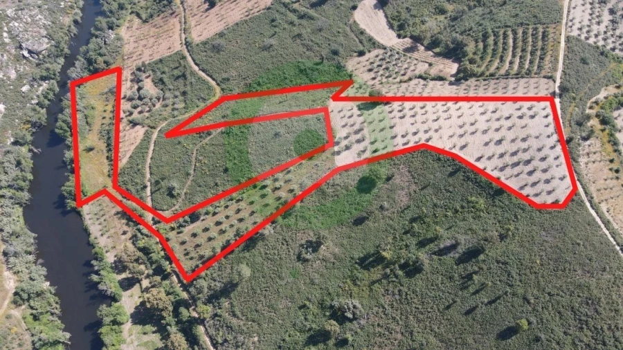 Terreno para Venda em Vale de Salgueiro