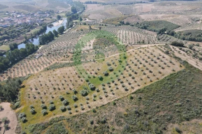 Terreno para Venda em Valpaços e Sanfins