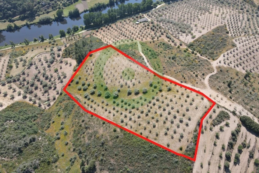 Terreno para Venda em Valpaços e Sanfins Foto 1