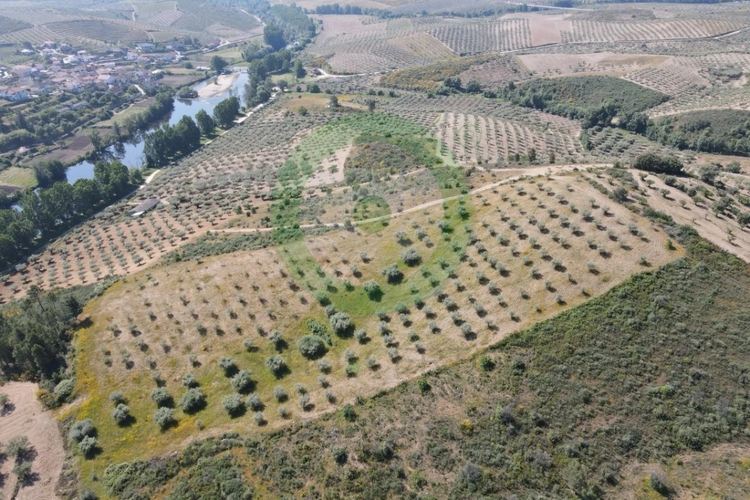 Terreno para Venda em Valpaços e Sanfins Foto 2
