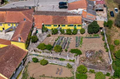 Quinta T17 para Venda em Eiras e São Paulo de Frades