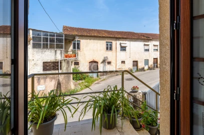 Quinta T17 para Venda em Eiras e São Paulo de Frades