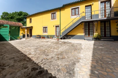 Quinta T17 para Venda em Eiras e São Paulo de Frades