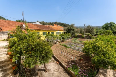 Quinta T17 para Venda em Eiras e São Paulo de Frades