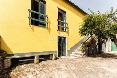 Quinta T17 para Venda em Eiras e São Paulo de Frades