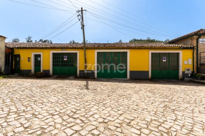 Quinta T17 para Venda em Eiras e São Paulo de Frades