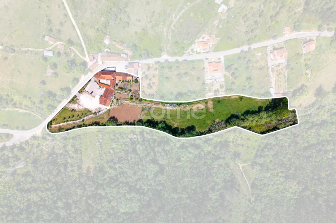 Quinta T17 para Venda em Eiras e São Paulo de Frades Foto 2