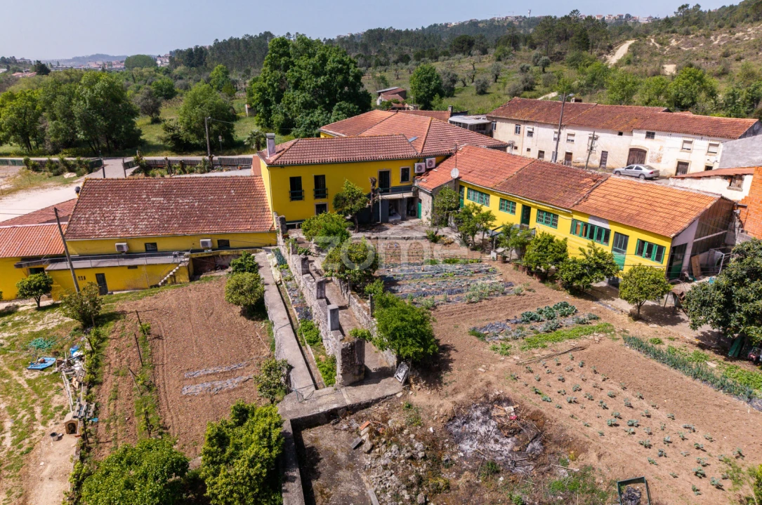 Quinta T17 para Venda em Eiras e São Paulo de Frades Foto 8