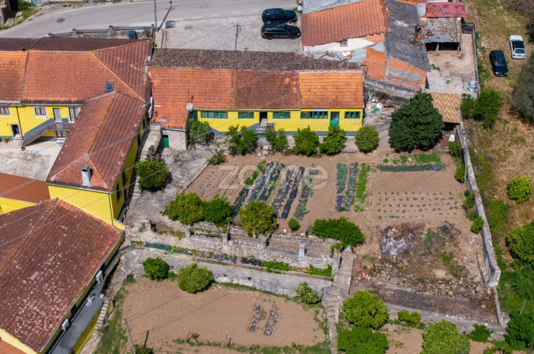 Quinta T17 para Venda em Eiras e São Paulo de Frades Foto 7