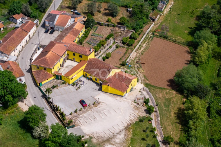 Quinta T17 para Venda em Eiras e São Paulo de Frades Foto 5