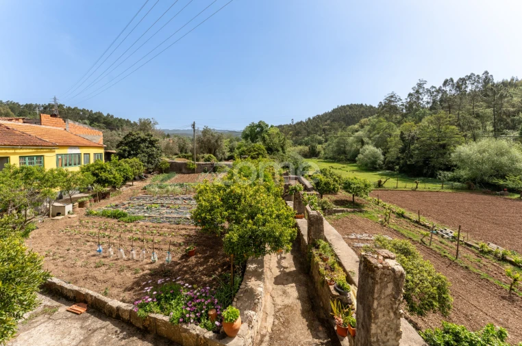 Quinta T17 para Venda em Eiras e São Paulo de Frades Foto 60