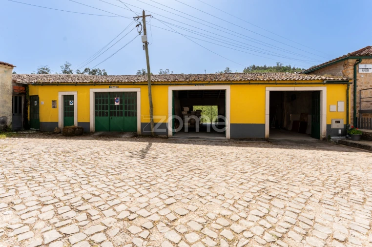 Quinta T17 para Venda em Eiras e São Paulo de Frades Foto 68