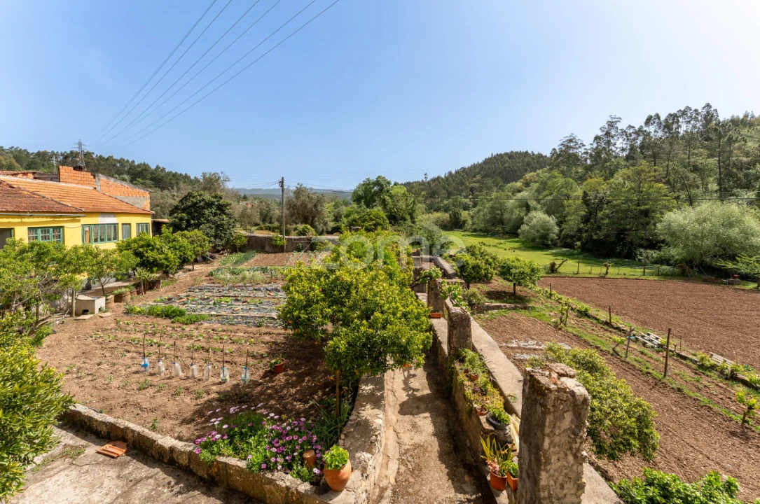 Quinta T17 para Venda em Eiras e São Paulo de Frades Foto 60