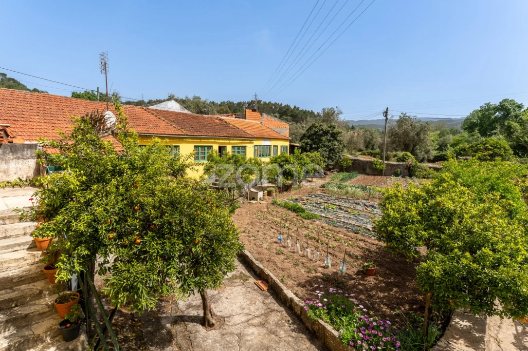 Quinta T17 para Venda em Eiras e São Paulo de Frades Foto 62