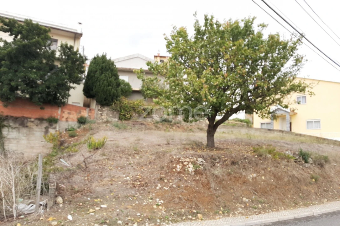 Terreno para Venda em Porto Salvo Foto 2