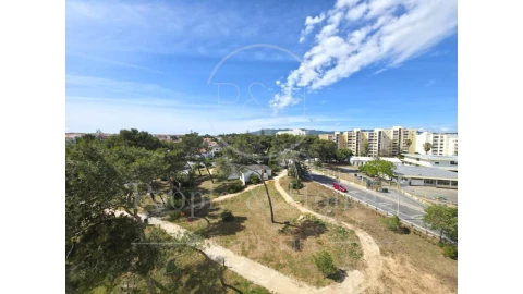 Apartamento T1 para Arrendamento em Cascais e Estoril