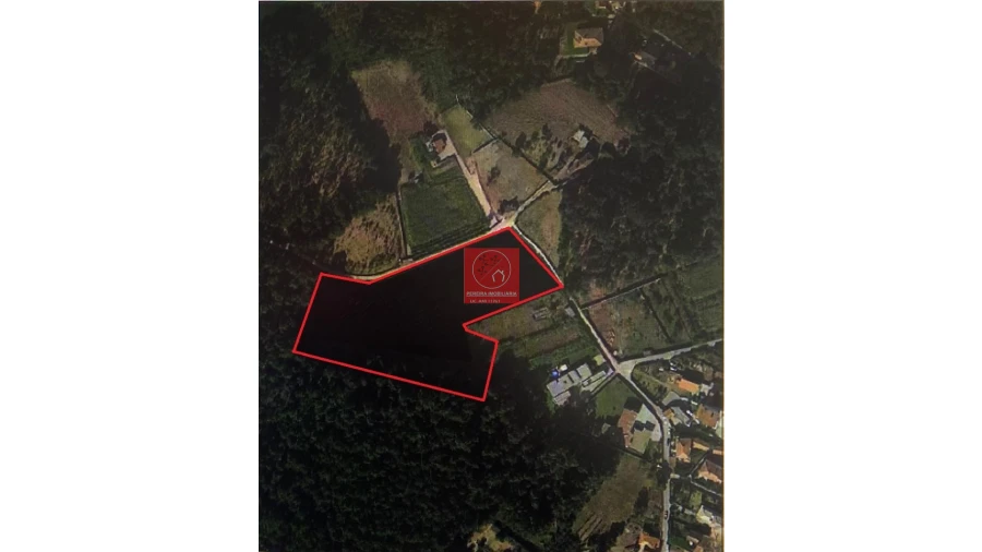 Terreno para Venda em Forjães