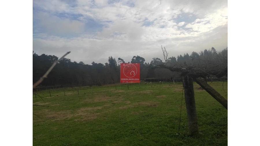 Terreno para Venda em Forjães Foto 5