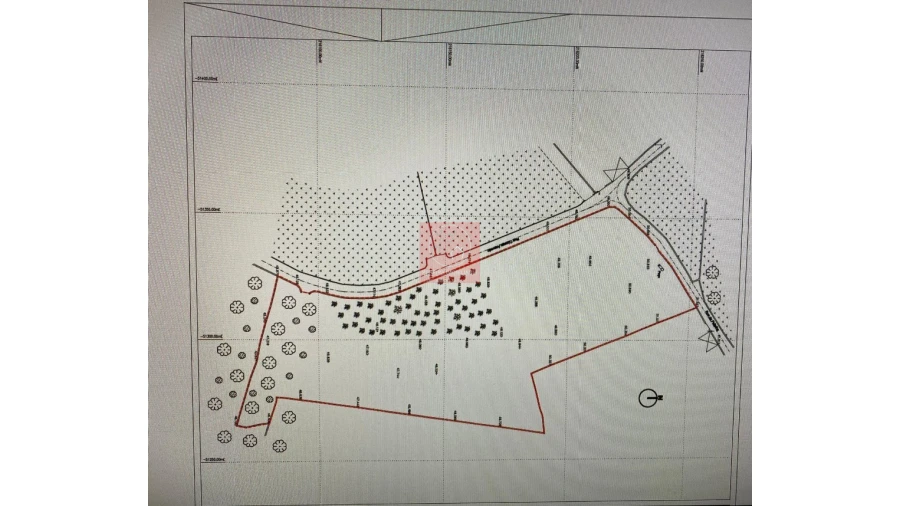 Terreno para Venda em Forjães Foto 2