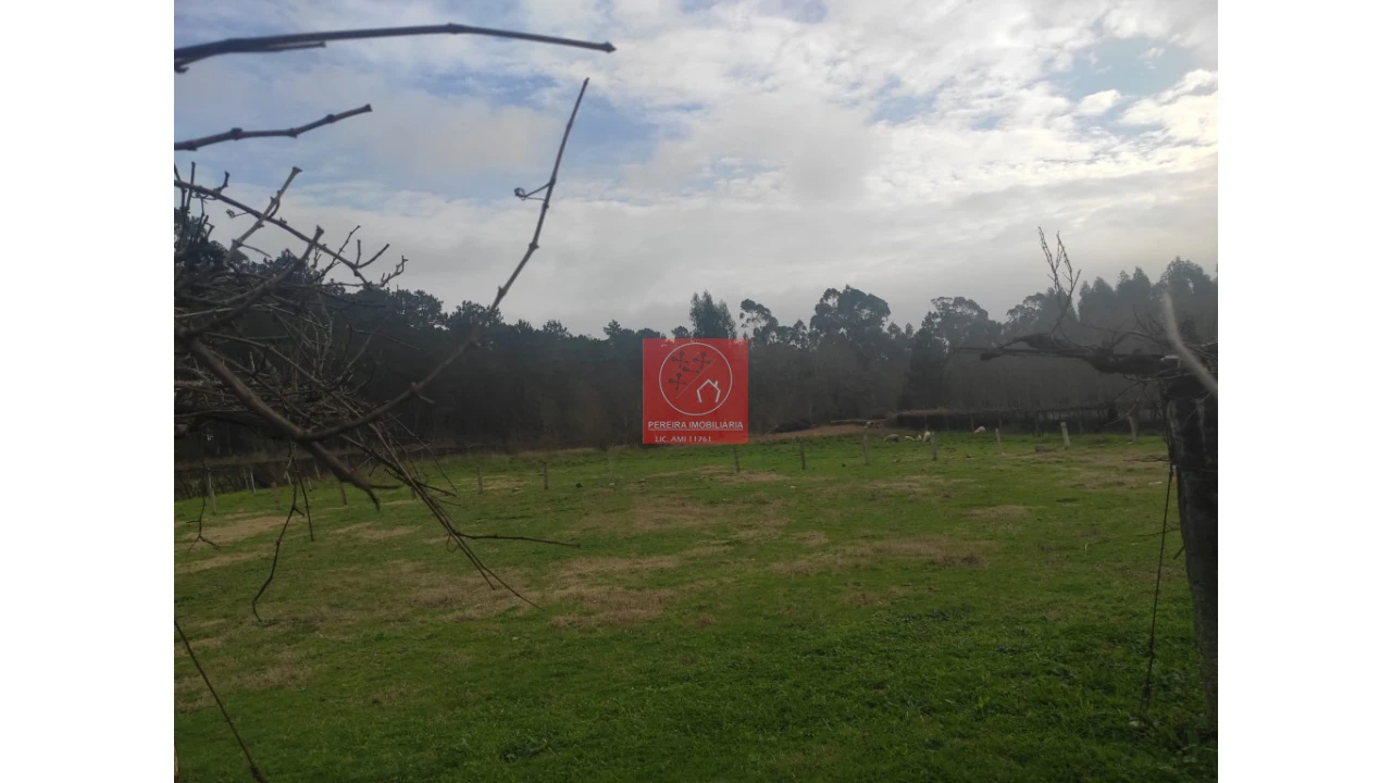 Terreno para Venda em Forjães Foto 6