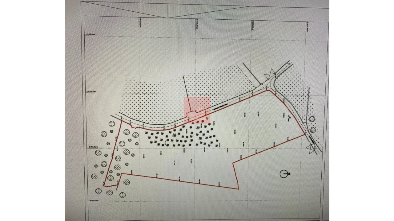 Terreno para Venda em Forjães Foto 2