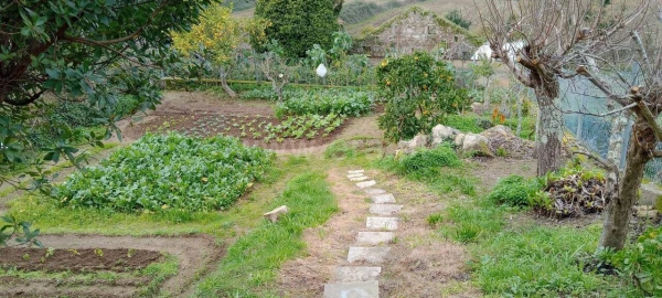 Terreno para Venda em Oliveira do Douro