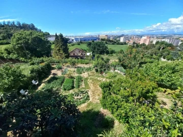 Terreno para Venda em Oliveira do Douro