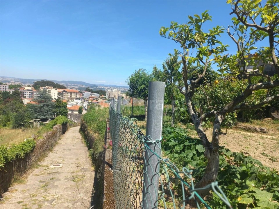 Terreno para Venda em Oliveira do Douro Foto 8