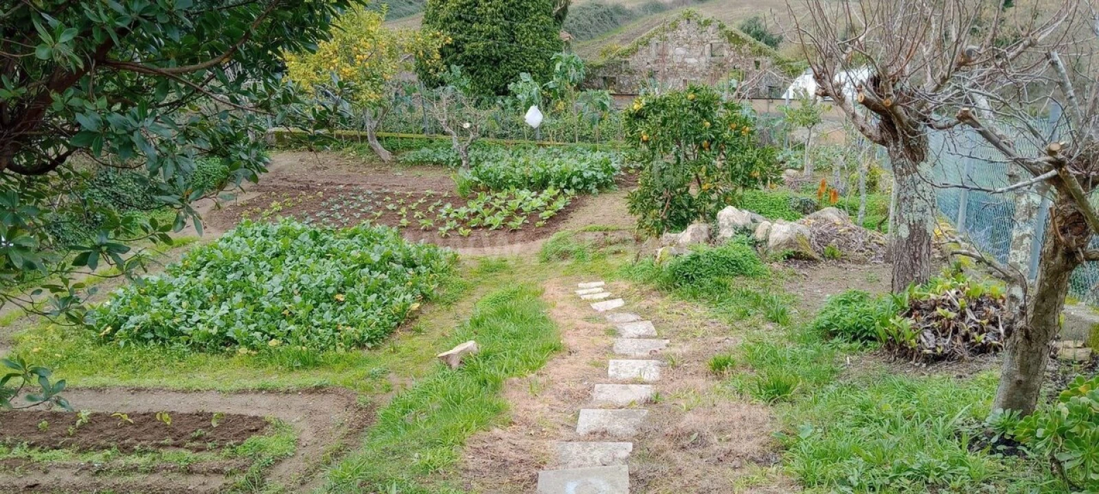 Terreno para Venda em Oliveira do Douro Foto 11