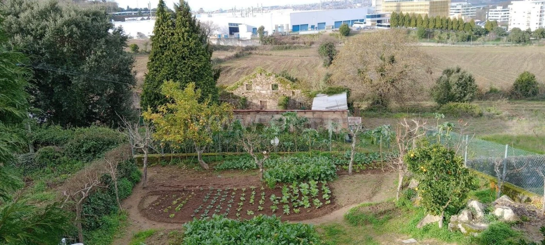 Terreno para Venda em Oliveira do Douro Foto 10