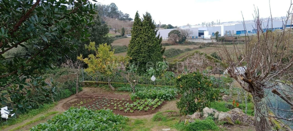 Terreno para Venda em Oliveira do Douro Foto 9