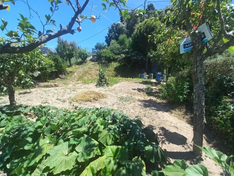 Terreno para Venda em Oliveira do Douro Foto 7