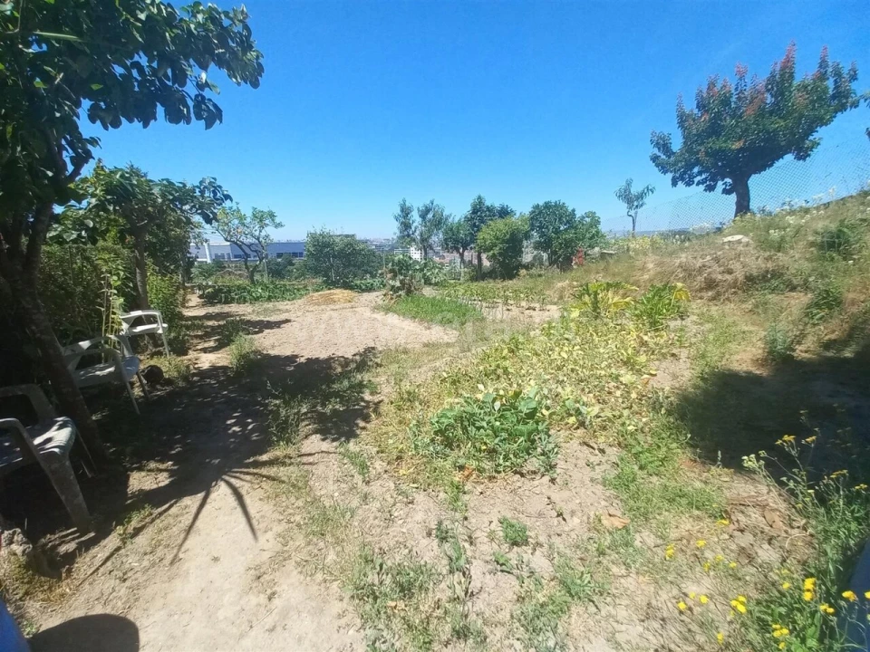 Terreno para Venda em Oliveira do Douro Foto 5