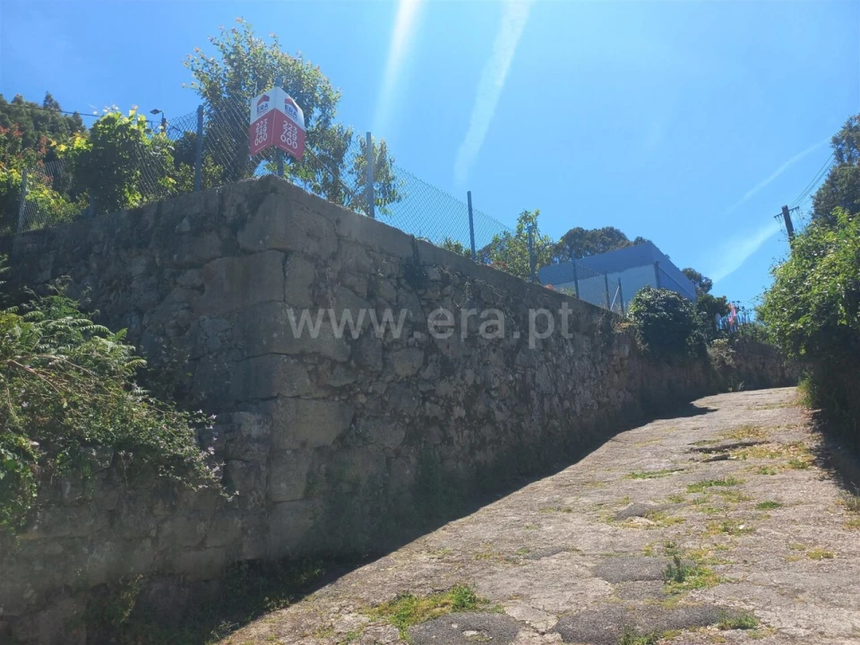 Terreno para Venda em Oliveira do Douro Foto 6
