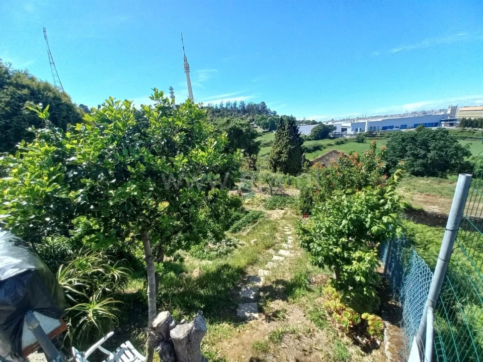 Terreno para Venda em Oliveira do Douro Foto 3